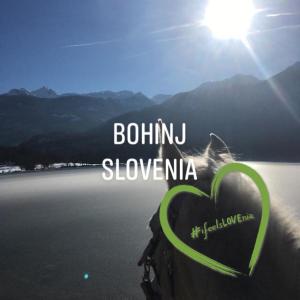 Příroda nedaleko ubytování v soukromí