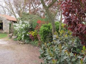 Zahrada ubytování L'Aubinoise