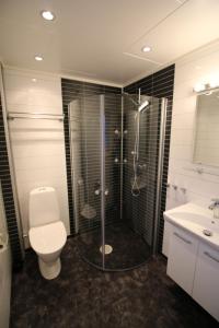 uma casa de banho com um chuveiro, um WC e um lavatório. em Gula Byn 411A em Sälen