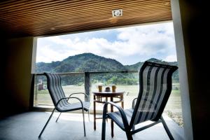 山景或在the country house看到的山景