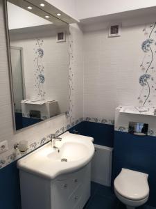 La salle de bains est pourvue d'un lavabo, de toilettes et d'un miroir. dans l'établissement Topaz Central Apartment, à Bacău