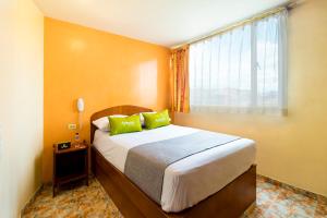 Fotografie z fotogalerie ubytování Ayenda 1069 Alfay v destinaci Bogotá