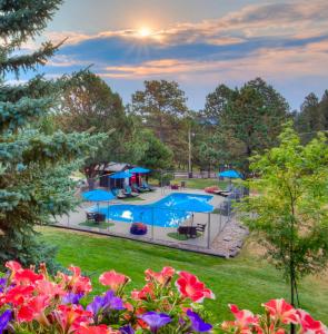 una vista aérea de una piscina con sombrillas y flores en Bavarian Inn, Black Hills, en Custer