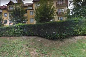 a large green hedge in front of a building at Apartament Panorama in Iwonicz-Zdrój