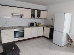 a kitchen with white appliances and a white refrigerator at Apartmán Karolína in Láb