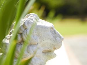Fotografie z fotogalerie ubytování Parkes Manor v destinaci Knysna
