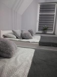En eller flere senge i et værelse på u Ptaka - Podgórzyn