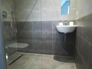 a bathroom with a sink and a toilet and a shower at u Ptaka - Podgórzyn in Podgórzyn