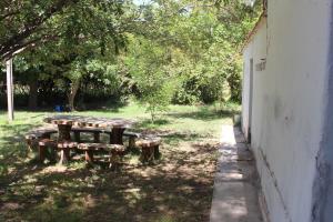 a picnic table in the grass next to a building at Cabaña en Olivar Centenario Agroecológico Tutuna in Pocito
