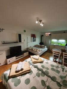 ein Wohnzimmer mit 2 Betten und eine Küche in der Unterkunft Apartma TM Bovec in Bovec