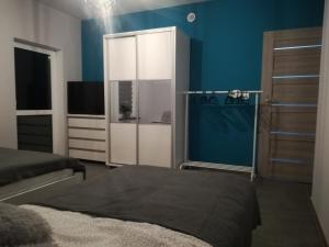 1 dormitorio con 1 cama, vestidor y TV en u Ptaka - Podgórzyn, en Podgórzyn