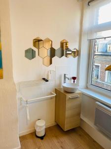 uma casa de banho com um lavatório e uma janela em Roture 88 em Liège