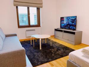 TV a/nebo společenská místnost v ubytování Residence “U Naplavky” 1