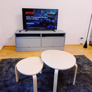 A television and/or entertainment centre at Residence “U Naplavky” 1