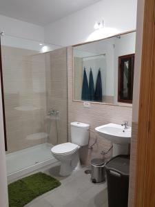 La salle de bains est pourvue de toilettes et d'un lavabo. dans l'établissement Apartamento privado en una zona tranquila y próxima al aeropuerto TF norte y a la ciudad de San Cristóbal de la Laguna ., à La Laguna