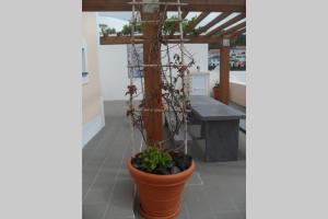 Fotografie z fotogalerie ubytování OceanFront Studio - Casa Santo Antonio v destinaci São Mateus