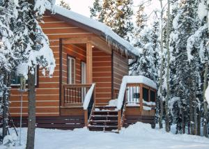 una cabaña de madera en el bosque con nieve en Denali Wild Stay - Moose Cabin, Free Wifi, 2 private bedrooms, sleep 6 en Healy