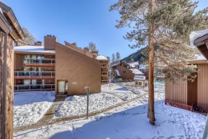 un edificio nella neve con un albero di Wild Irishman 1080 a Dillon
