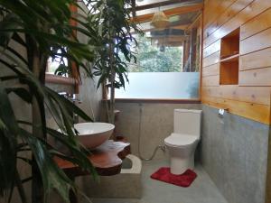a bathroom with a toilet and a sink and a plant at Mc Queen Homestay in Ella
