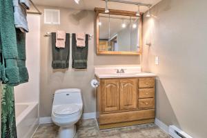 a bathroom with a toilet and a sink and a mirror at Peaceful Mountain-View Home - Walk to Kenai Lake! in Cooper Landing +31 photos