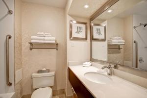Imagen de la galería de Holiday Inn Windsor - Ambassador Bridge by IHG, en Windsor