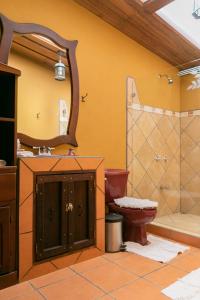 a bathroom with a toilet and a sink and a mirror at Malekus Mountain Lodge in Aguas Claras