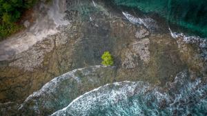 an aerial view of a rock with a tree on it at Hotel Nya in Montezuma