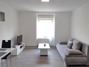 TV a/nebo společenská místnost v ubytování Comfort Stay Basel Airport RC46B