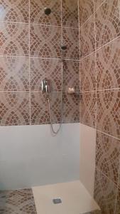 a shower in a bathroom with a tile wall at Green Palace in Ivato