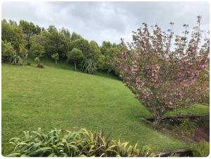 a tree with pink flowers in a green field at Spacious, Peaceful, Fully Equipped 1BR Apartment in Upper Hutt