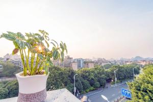 桂林Zen Tea House Elephant Trunk Hill Park船舍茶椐象山店的相册照片