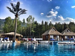 a resort with a palm tree and a swimming pool at Бора Бора in Sapareva Banya