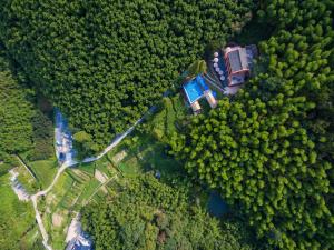 an aerial view of a house in the middle of a forest at Arcadia Resorts in Deqing