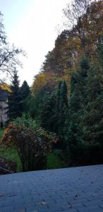 A garden outside Csodaszarvas Vendégház