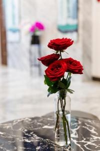 Fotografie z fotogalerie ubytování Ivy Hotel Nha Trang v Nha Trangu