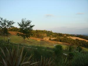 uma vista para um campo com árvores e uma colina em Precious Villa Italy just few minutes drive from Pesaro beach em Ripe