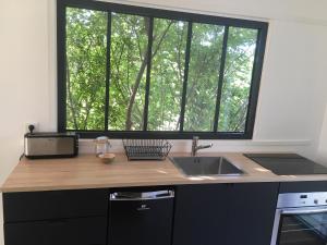 a kitchen with a counter with a sink and a window at La Cabane Bain nordique in Bouliac