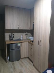 Kuchyň nebo kuchyňský kout v ubytování 2 osobowe kawalerki w domkach FreezerHause Kozery- NoclegiGrodziskPL 792-535-535
