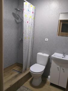 a bathroom with a shower and a toilet and a sink at 2 osobowe kawalerki w domkach FreezerHause Kozery- NoclegiGrodziskPL 792-535-535 in Grodzisk Mazowiecki