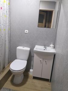 a bathroom with a white toilet and a sink at 2 osobowe kawalerki w domkach FreezerHause Kozery- NoclegiGrodziskPL 792-535-535 in Grodzisk Mazowiecki