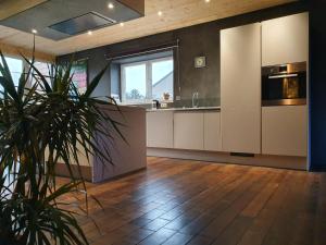 Cuisine ou kitchenette dans l'établissement Vue sur Meuse