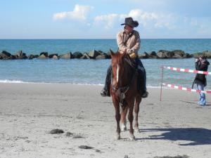 een man op een paard op het strand bij Büdnerei 51 in Dändorf