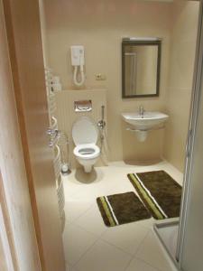 ein kleines Bad mit WC und Waschbecken in der Unterkunft Hotel Encian in Rajecké Teplice