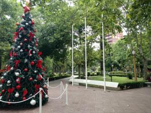 a christmas tree in the middle of a park at Hermoso departamento para viajeros in San Fernando