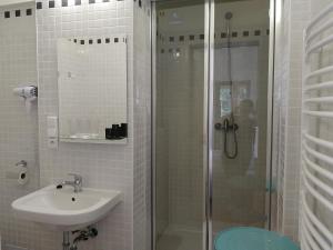 a bathroom with a shower and a sink and a toilet at Penzion Vila Elektra in Bechyně