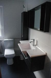 a bathroom with a white toilet and a sink at Huis bij Willingen in Eimelrod +50 photos