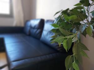 Część wypoczynkowa w obiekcie Del Parque Flats Central