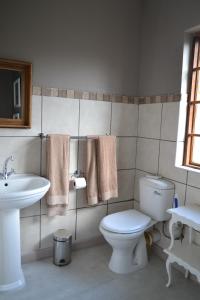 La salle de bains est pourvue de toilettes et d'un lavabo. dans l'établissement By The Way Guesthouse, à Clarens