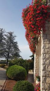 Vonkajšia záhrada v ubytovaní Holiday Apartment VILLA BIANCA