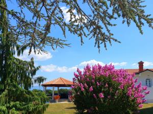 Vonkajšia záhrada v ubytovaní Holiday Apartment VILLA BIANCA